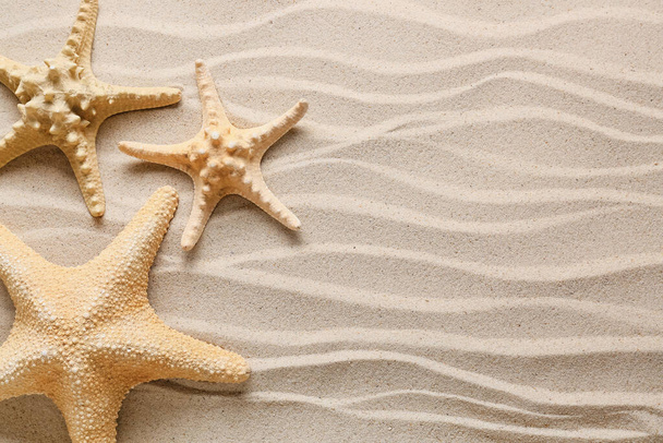 Морские морские звезды на песке - Фото, изображение