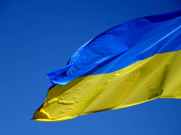       Украинские флаги на ветру на фоне голубого неба                          - Фото, изображение