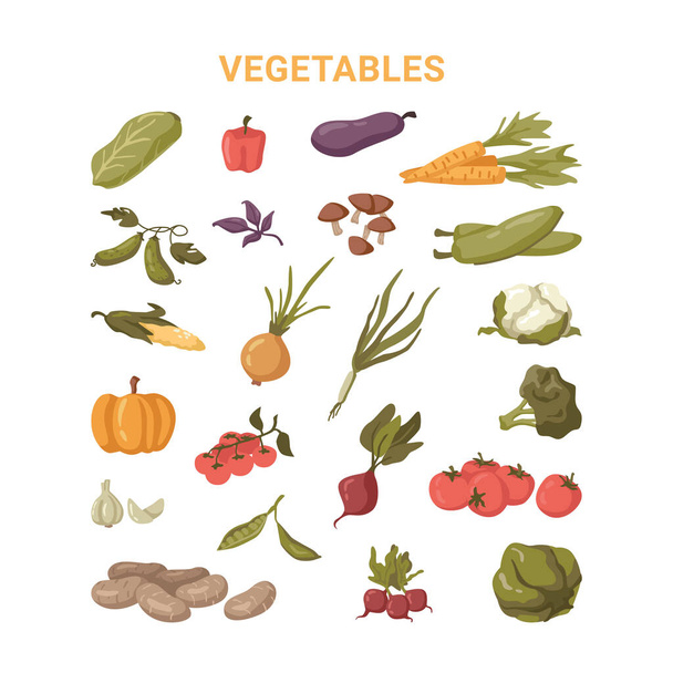 Овощи набор здоровой вегетарианской пищи, продукты питания - Вектор,изображение