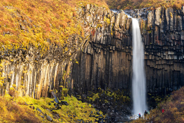 Svartifoss waterfall in Skaftafell National Park with tourists, Iceland. - Photo, Image