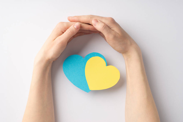 Stop the war in Ukraine concept. Top overhead view photo of girl's hands hugging yellow and blue hearts national flag colours on white background - 写真・画像