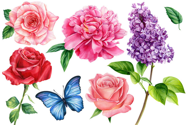 Aquarel set van rozen, pioenen, lila bloemen, bladeren en vlinders. Botanische illustratie in vintage stijl - Foto, afbeelding