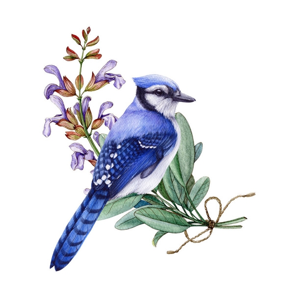 Pájaro jay azul con flores de salvia. Ilustración en acuarela. Decoración floral dibujada a mano vintage. Estilo retro pájaro azul con flores de salvia - Foto, Imagen