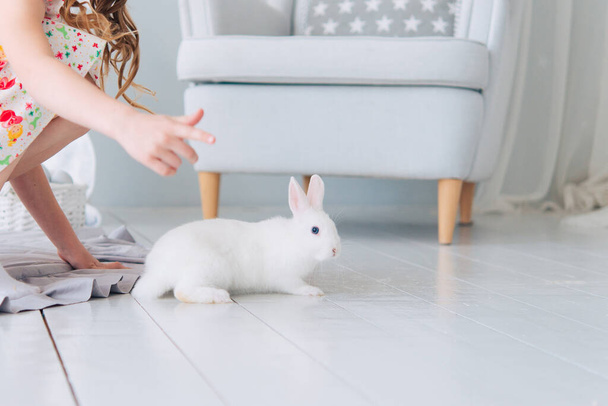 Cute white rabbit bunny, Little bunny lies  - Fotoğraf, Görsel