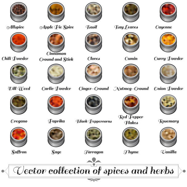 Векторна колекція спецій і трав
 - Вектор, зображення