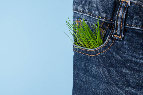 Ropa de consumo responsable. cerrar jeans bolsillo brotes de plantas decorativas. sobre un fondo azul. Foto de alta calidad - Foto, Imagen