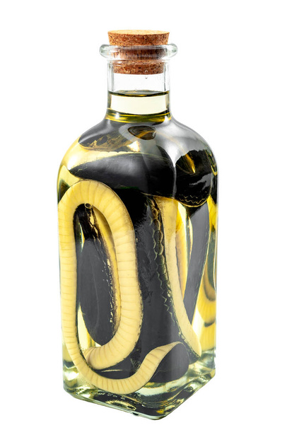 Sprzedawca oleju z węża, leczyć wszystkie oszustwa i koncept medycyny motyw z butelki oleju i węża w nim izolowane na białym tle z wyciętej ścieżki wycinania - Zdjęcie, obraz