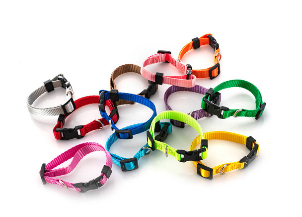 colorful collars in front of white background - Photo, Image
