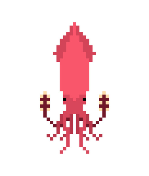 Squid pixel art isolated. 8 bit calamary icon. pixelated illustration - Wektor, obraz