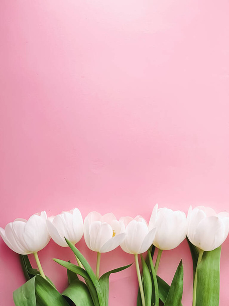 Bílé tulipány na růžovém pozadí, krásné květiny jako ploché pozadí, jarní koncept - Fotografie, Obrázek