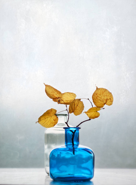 Still life with transparent colored glass bottles and autumn leaves. - Foto, Imagem