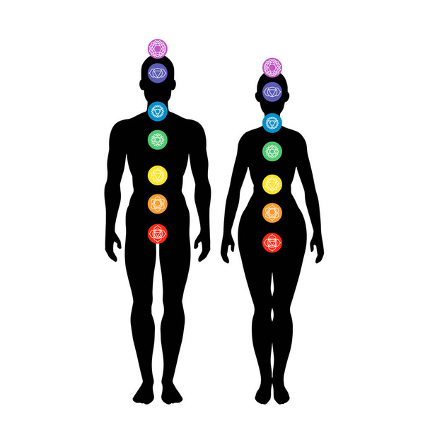 Seven chakra system in human body, infographic with male and female silhouette, standing man & woman, vector illustration - Vektör, Görsel