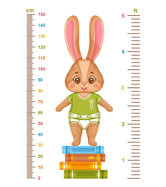 Lasten korkeus kaavio söpö pupu, lasten kasvun mittaaminen. Metrin seinähallitsija. Hauska kaninpoikanen kirjapinossa. Lapsen kasvava stadiometri asteikko senttimetrissä päiväkodille tai koululle. Sarjakuvahahmo. Lastentarhan jälki. Erillinen vektori - Vektori, kuva