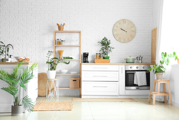Belső tér modern konyha polcos egység, szobanövények és óra - Fotó, kép