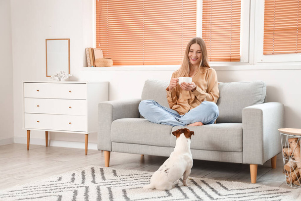 Young woman with cup of tea and Jack Russel terrier sitting on grey sofa at home - Photo, Image