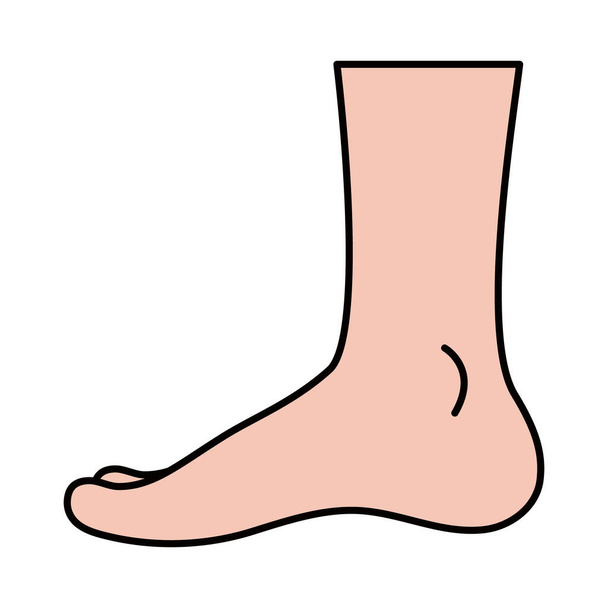 Icona del piede umano
 - Vettoriali, immagini