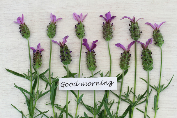 Jó reggelt kártya levendula virágok fehér fa felületre - Fotó, kép