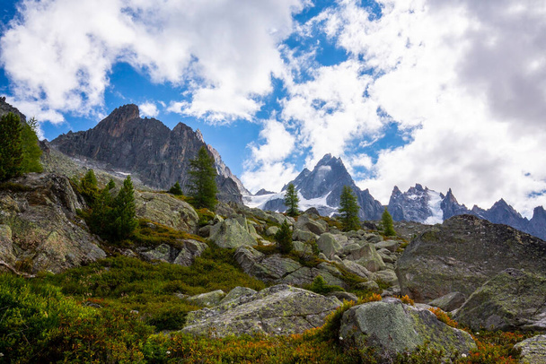 Paysages estivaux dans les Alpes françaises avec des arbres Larix et des sommets pointus - Photo, image