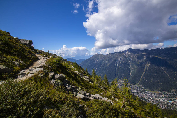 Летний пейзаж во французских Альпах с деревьями Ларикса и острыми вершинами - Фото, изображение