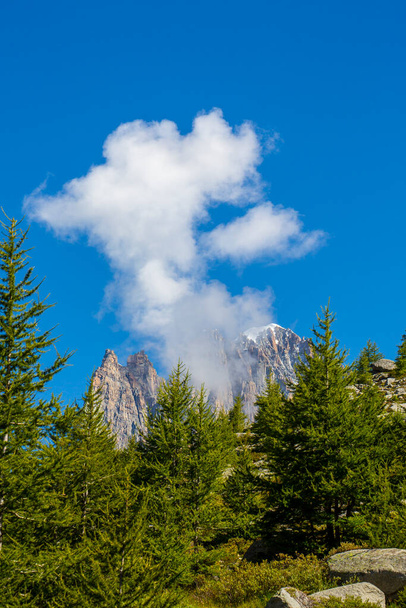 Letnia sceneria w Alpach Francuskich z drzewami Larix i ostrymi szczytami - Zdjęcie, obraz