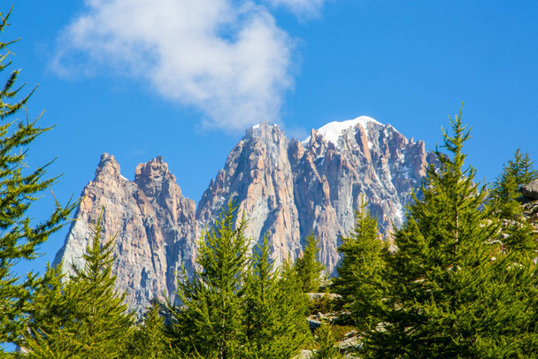 Letnia sceneria w Alpach Francuskich z drzewami Larix i ostrymi szczytami - Zdjęcie, obraz