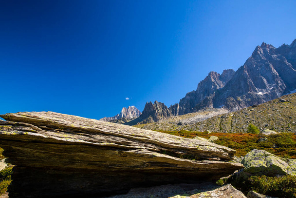 Letní scenérie ve francouzských Alpách se stromy Larix a ostrými štíty - Fotografie, Obrázek