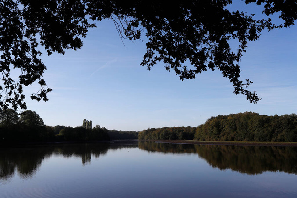 Lake and forest in burgundy.  - Photo, Image