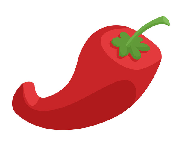 červená chilli paprika - Vektor, obrázek