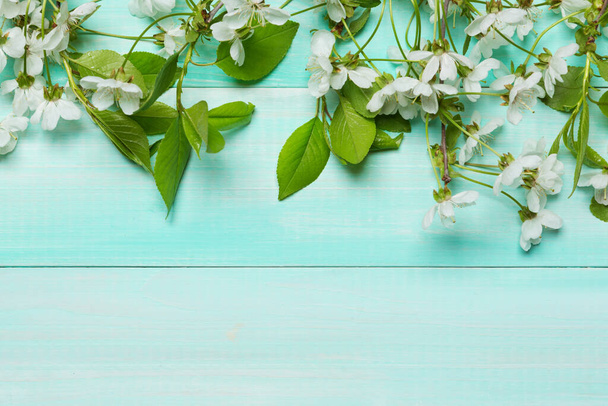 na tyrkysové desky leží větve s bílými květy, vodorovné rozložení, koncept jara - Fotografie, Obrázek