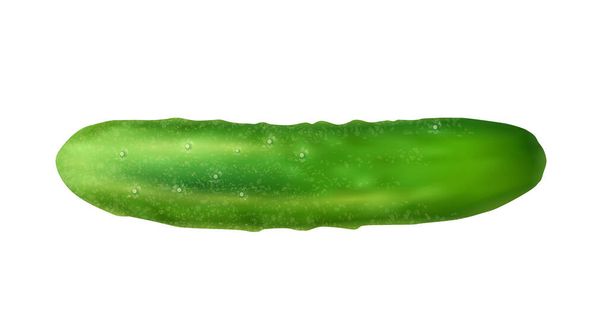 Realistic Cucumber Illustration - Wektor, obraz