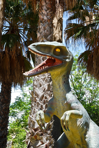 Dinosaurio - Raptor
 - Foto, imagen