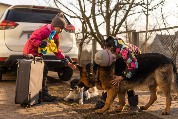 Две маленькие девочки с флагом Украины, чемоданом, собаками. Военная миграция Украины. Коллекция вещей в чемодане. Флаг Украины, помогите. Кризин, военный конфликт. - Фото, изображение