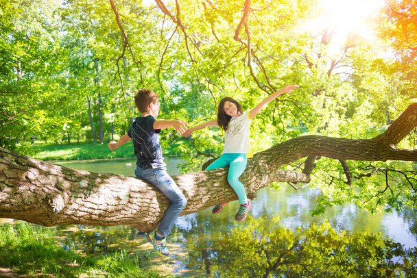 Boldog fiú és lány mászik fel a fára - Fotó, kép