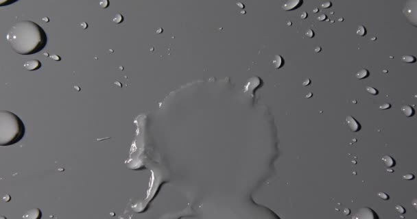 Abstract water druppels op grijze achtergrond, macro, Bubbels close-up, Cosmetische hydraterende vloeibare druppels, Vlakke lay patroon. - Video