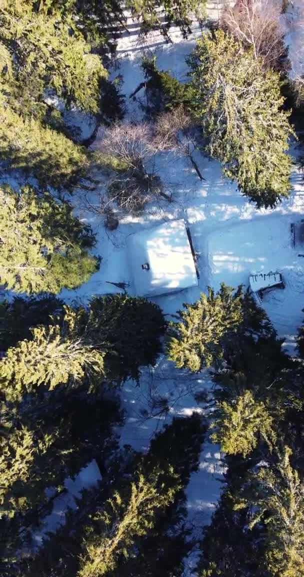 Вид зверху на аерофотознімки маленької дерев'яної кабіни в лісовій зоні. Ніхто в полі зору
.  - Кадри, відео