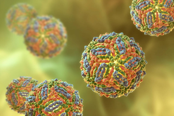 Ιός Δυτικού Νείλου, WNV, τρισδιάστατη απεικόνιση. Ένας ιός που μεταδίδεται από κουνούπια και προκαλεί πυρετό του Δυτικού Νείλου - Φωτογραφία, εικόνα