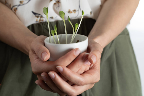 Low angle view two young female hands hold tiny plant in white cup vase . Protect environment ; nature; earth day concept background - Foto, Imagem