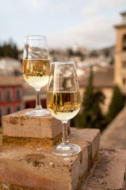 Ochutnávka sladkého a suchého opevněného vína Vino de Jerez sherry s výhledem na střechy a domy starého andaluského města, jižní Španělsko - Fotografie, Obrázek