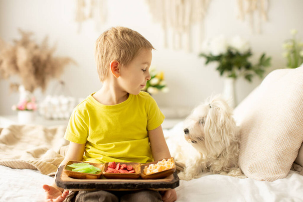 Cute little preschool child, boy, eating dried fruits at home, strawberries, melon, pineapple in a plate - Photo, Image