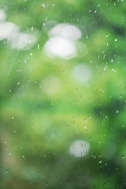 Gotas de lluvia en ventana con árbol verde en el fondo - Foto, imagen