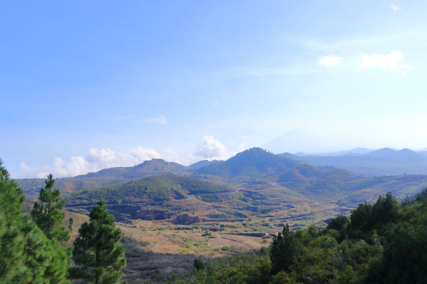 Krajobraz i przyroda wąwozu Masca w górach Teno na Wyspie Kanaryjskiej Teneryfa - Zdjęcie, obraz