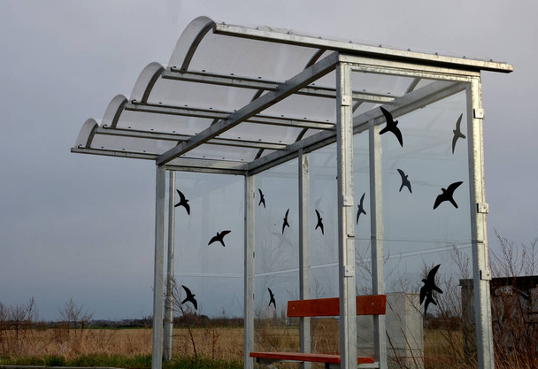 city bus stop. glass shed with integrated wooden bench. only the roof and rear wall. elegant arch roof, bus station, platform. glued walls silhouettes of birds against hitting the glass - Photo, Image