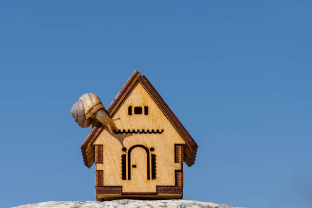 Mavi gökyüzüne karşı sembolik ahşap bir evde sürünen bir salyangoz. - Fotoğraf, Görsel