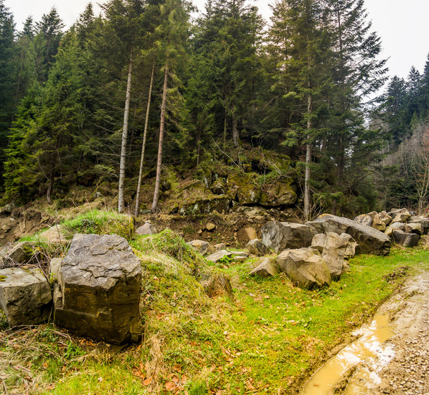 a Carpathian landscape near the Kamianka river, Skole Beskids National Nature Park, Lviv region of Ukraine - Photo, image