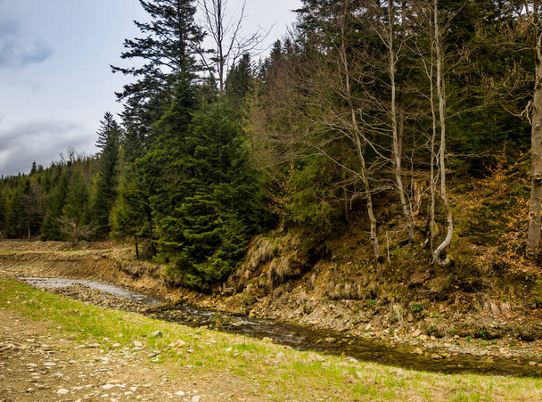 a Carpathian landscape near the Kamianka river, Skole Beskids National Nature Park, Lviv region of Ukraine - Fotoğraf, Görsel