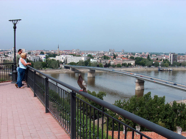 Vista a Novi Triste desde la Fortaleza de Petrovaradin con paloma marrón. Ubicación de los turistas favoritos. - Foto, imagen
