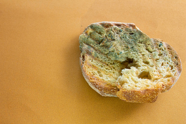 Moldy bread. Closeup photo of rotten bread on color background. Waiting for a long time. Concept of wasting food. Mildew covered food. - Photo, image