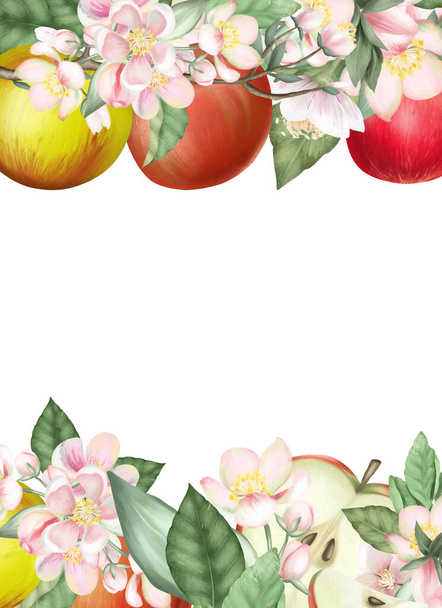 Card template, frame of hand drawn blooming apple tree branches, flowers and apples on white background - Foto, afbeelding