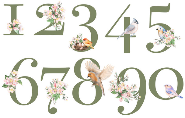Set of floral numbers with apple tree flowers and spring birds, isolated illustration on white background, for wedding monogram, greeting cards, logo - 写真・画像