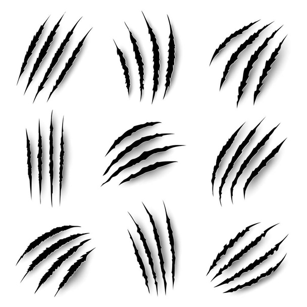 Claws marks, scratches of wild animals, vector nails rips of tiger, bear or cat paw sherds on white background. Lion, monster or beast break, four claws traces, realistic 3d marks texture isolated set - Vector, Image